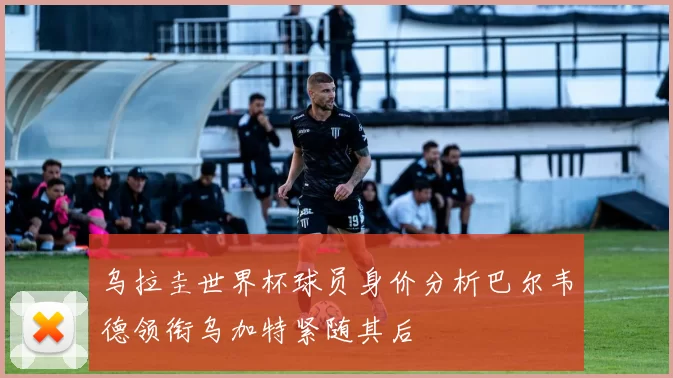乌拉圭世界杯球员身价分析巴尔韦德领衔乌加特紧随其后